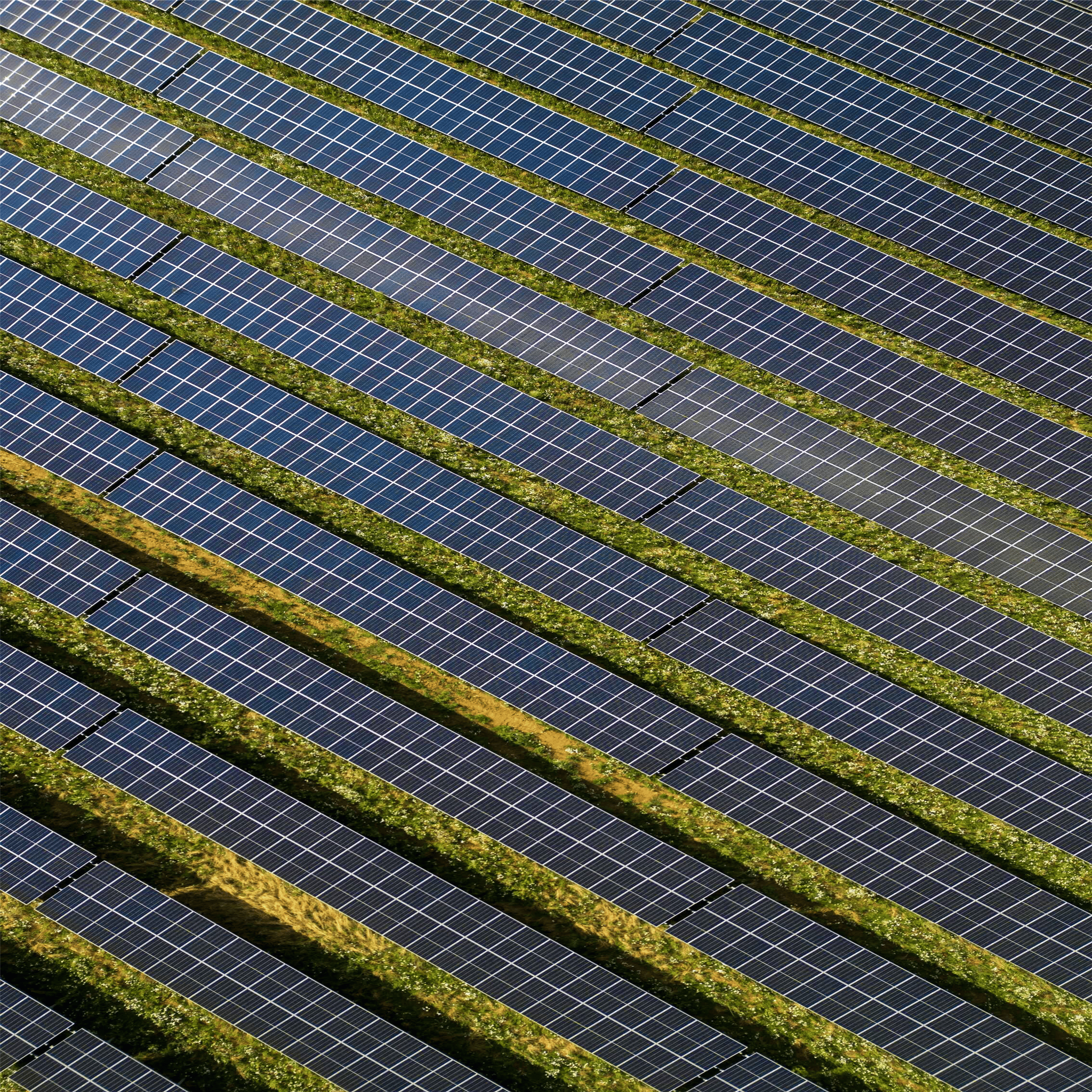 Lunar Electric Solar Panel Installation Services In India lunar-electric-solar-panel-installation-services-in-india